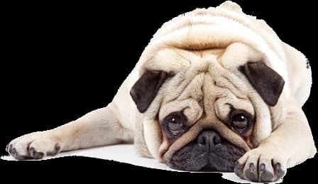 password dimenticata